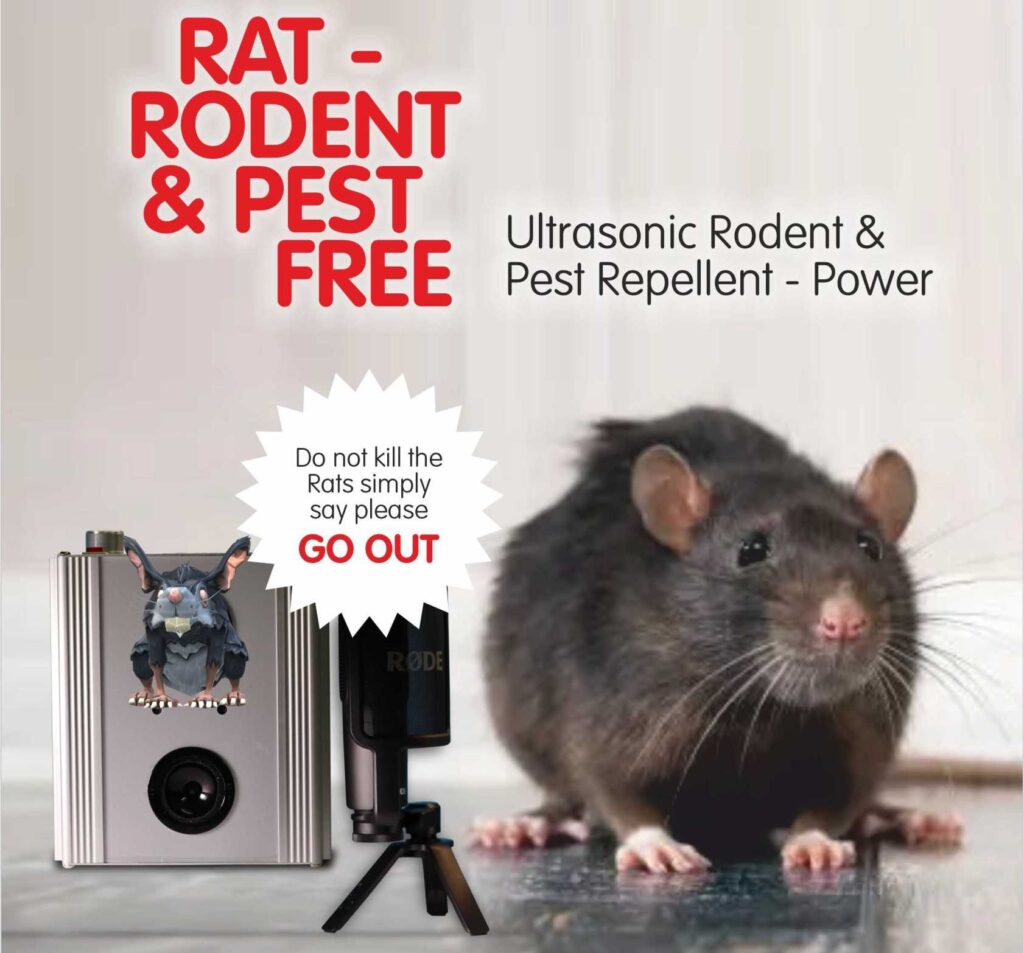 Rodent FREE Evaluation by Experts